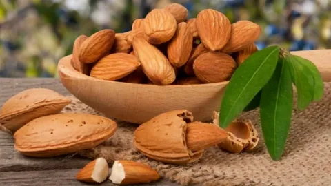 تصویر 2 از بادام مامایی صادراتی درجه یک با سایز بندی یکدست